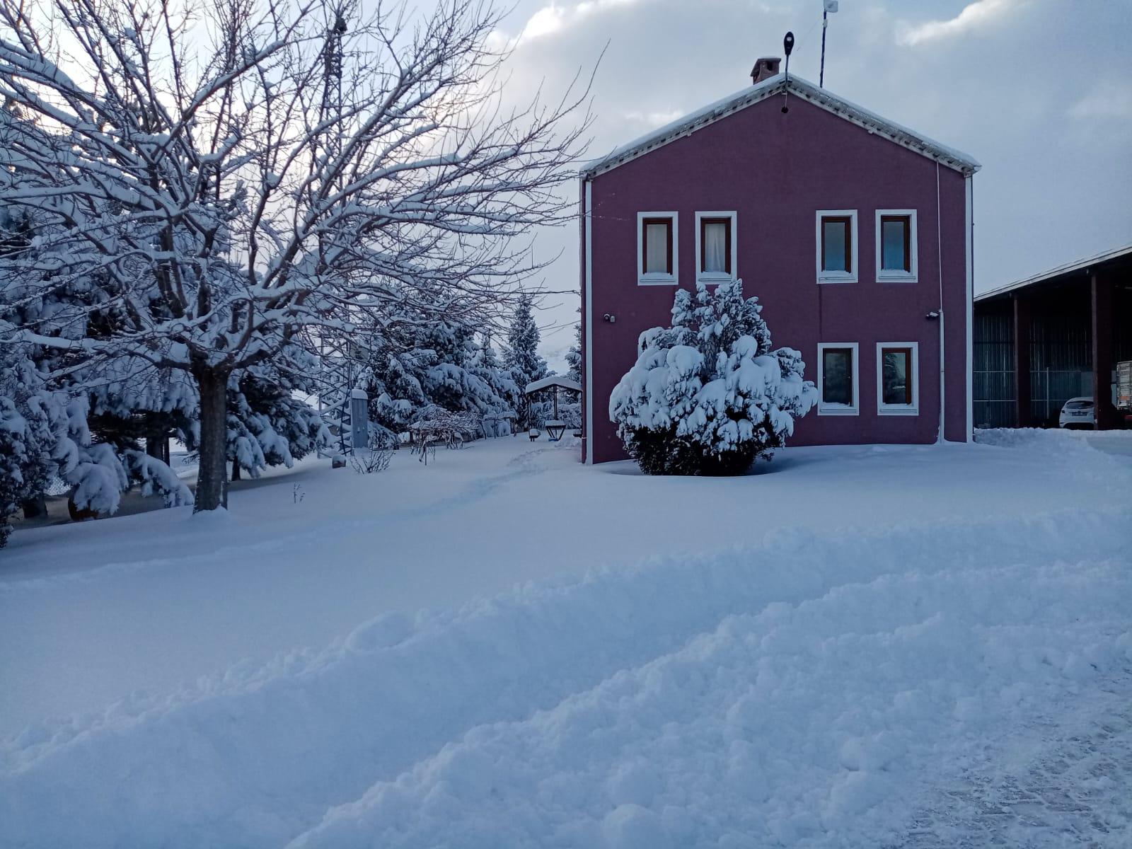 Hakkımızda, Doğayı Koruyarak Büyüyen Markanın Hikayesi Gizli