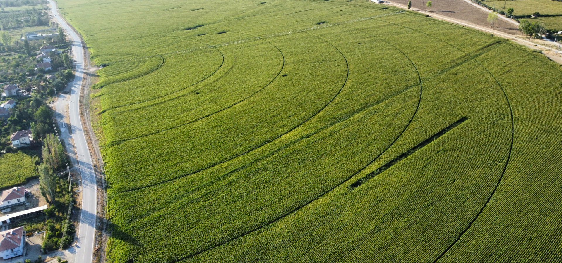 Valley Yetkili Distribütörü